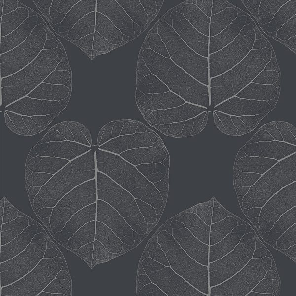 FICUS (Jet) – Bild 2
