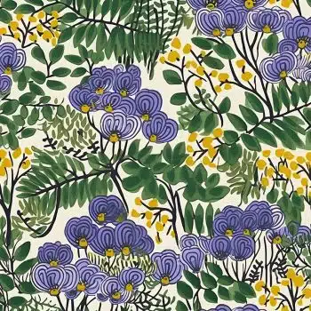 Jacaranda