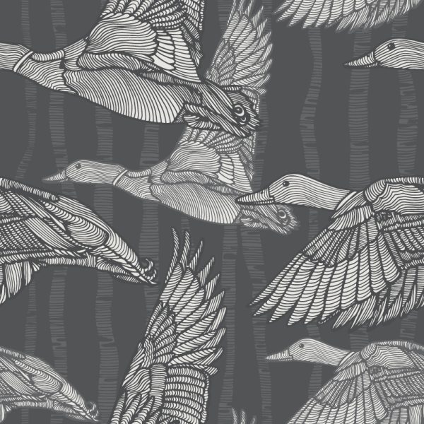 Mallards Calling Mono – Bild 2