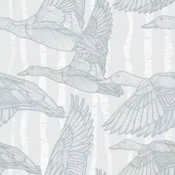 Mallards Calling Winter