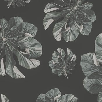 Mediterranean (dark)
