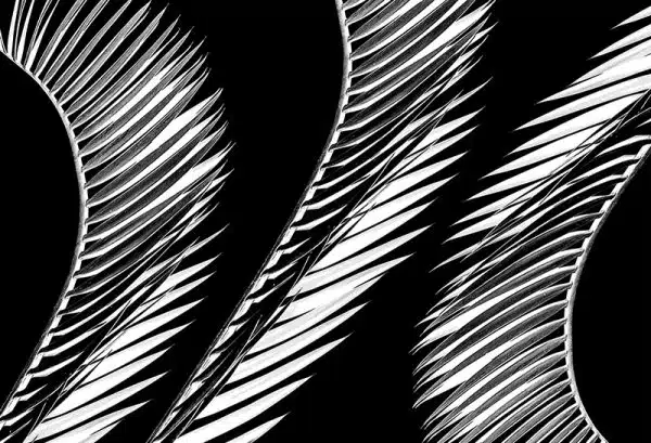 Montol (black) – Bild 2