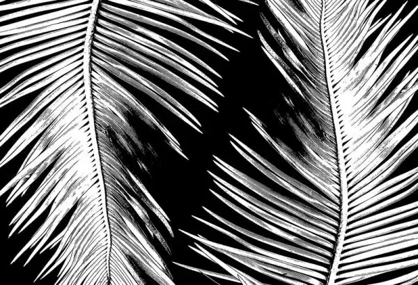 Nuer (black) – Bild 2