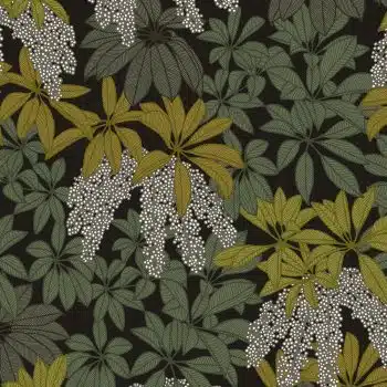 Parasol Leaves In Shade