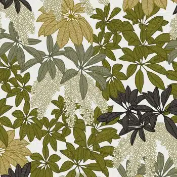 Parasol Leaves In Sun