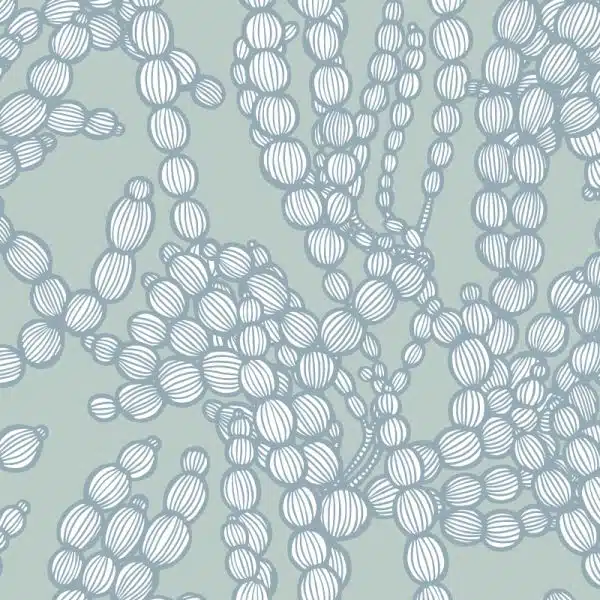 Sea Beads Grande Bay – Bild 2