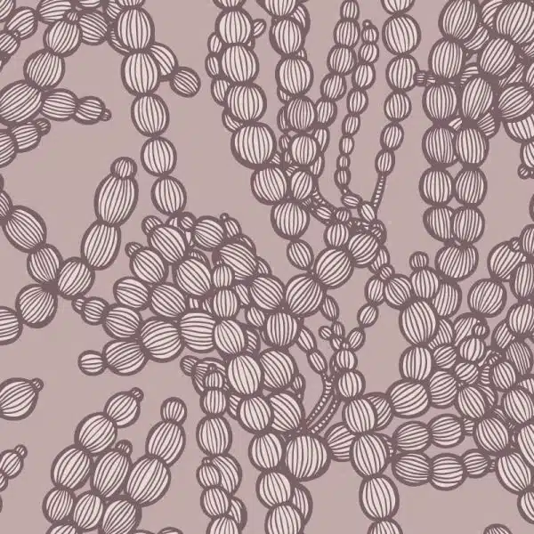 Sea Beads Grande Cove – Bild 2