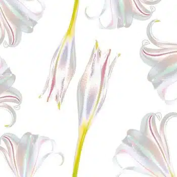 Snowdrop