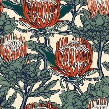 Song Of Protea