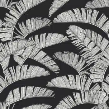 Summer Palm Mono
