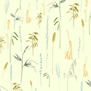 Summer Grasses