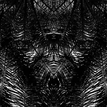 Tofin (black)