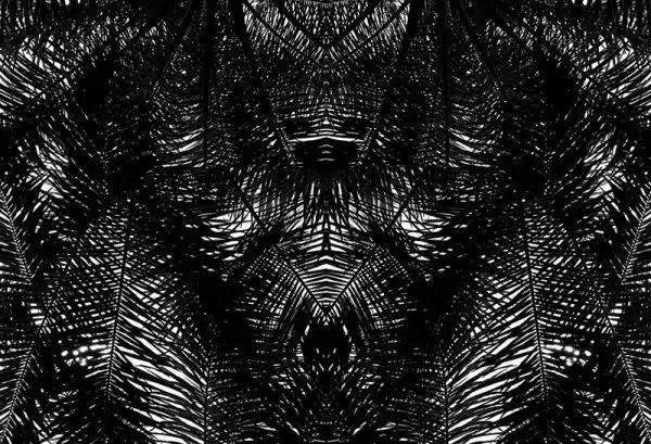 Tofin (black) – Bild 2