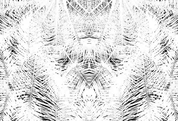 Tofin (white) – Bild 2