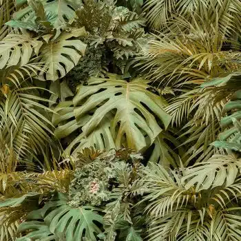 Vertical Garden Afternoon
