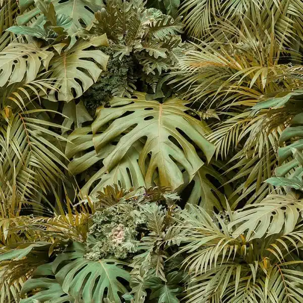 Vertical Garden Afternoon – Bild 2