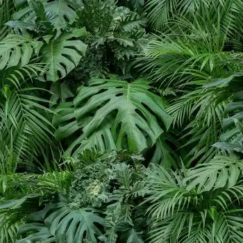 Vertical Garden Greenery