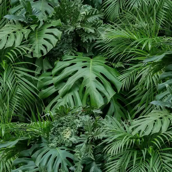 Vertical Garden Greenery – Bild 2