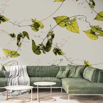 Honey-vine
