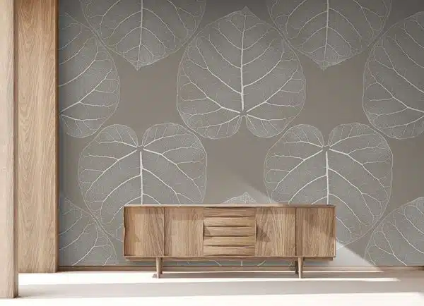 FICUS (Maple-Tree)