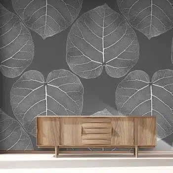FICUS (Atmosphere)