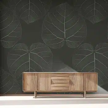 FICUS (Chocolate-Dream)