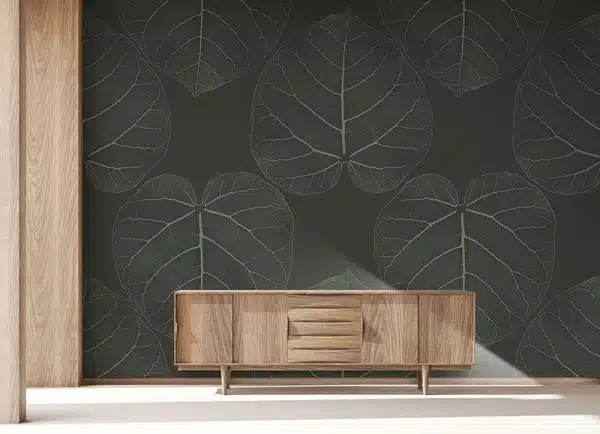 FICUS (Chocolate-Dream)