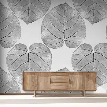 FICUS (Orchid-Grey)