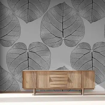 FICUS (Mirage)