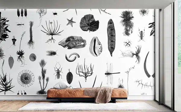 Cabinet of Natural Curiosities (white)