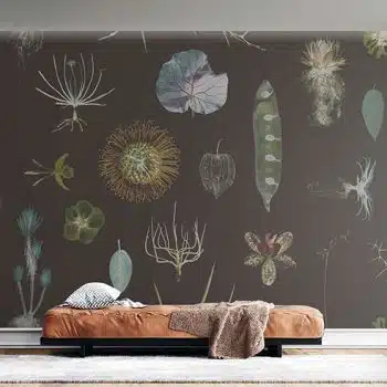 Cabinet of Natural Curiosities (brown)