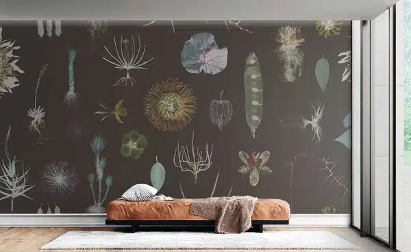 Cabinet of Natural Curiosities (brown)