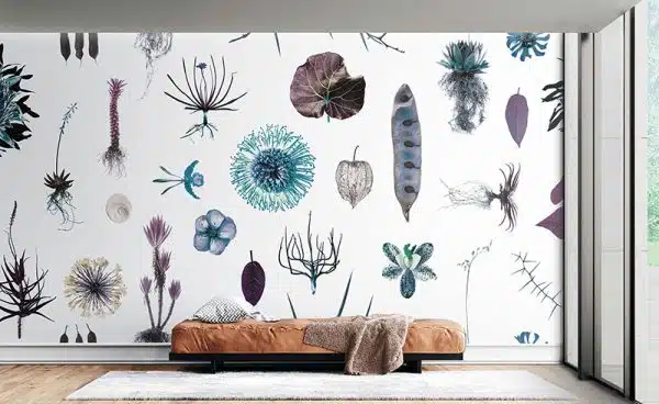 Cabinet of Natural Curiosities (psycho)