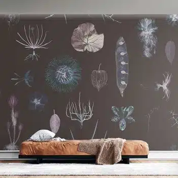 Cabinet of Natural Curiosities (neo)