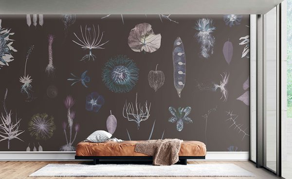 Cabinet of Natural Curiosities (neo)