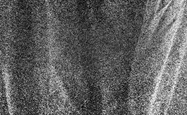 Zostera – Bild 2