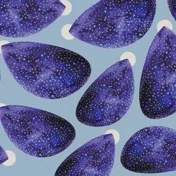 Universe in a shell