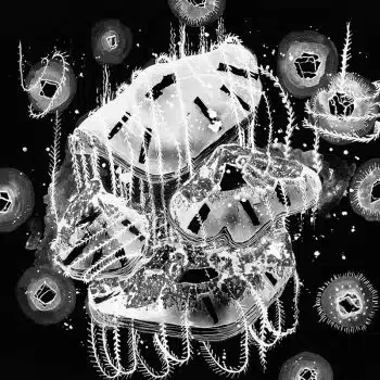 Underwater Plateaus Gems Reef