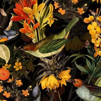 Colorful Birds and Redouté Flowers - Black