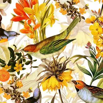 Colorful Birds and Redouté Flowers - White