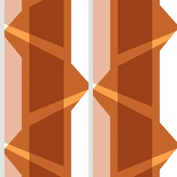 Gosford Orange – Bild 2