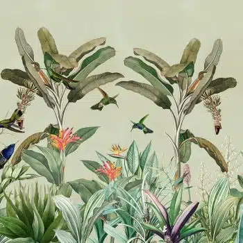 Hummingbird Panorama