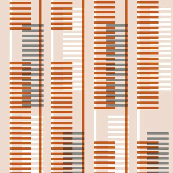 Lyars Orange – Bild 2