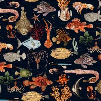 Oceania - Navy
