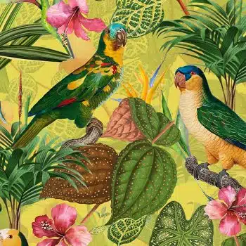 Parrots with orchids and hibiscus in jungle