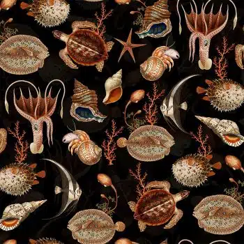 Shells and Sealife - Black