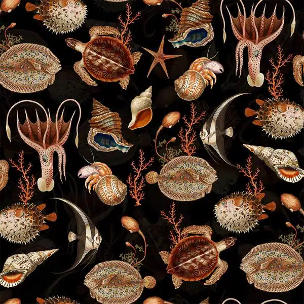 Shells and Sealife - Black – Bild 2