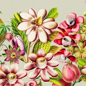 Vintage American Flowers