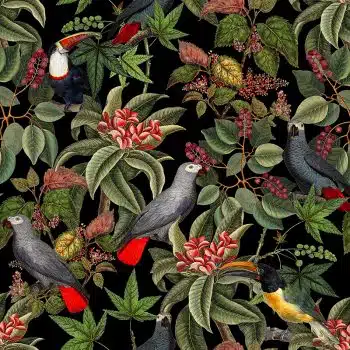 Vintage Parrots And Toucan Jungle - Black