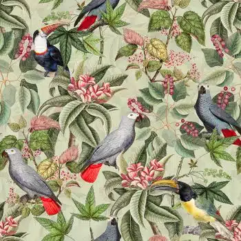 Vintage Parrots And Toucan Jungle - Mint